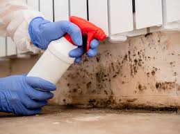 Best Industrial Mold Remediation  in Keansburg, NJ